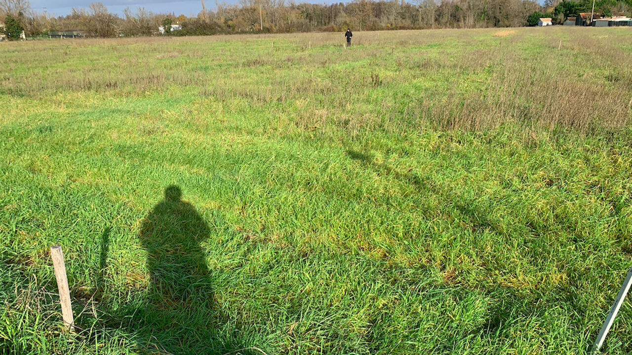 terrain 700 m2 à construire à Saint-Christoly-de-Blaye (33920)