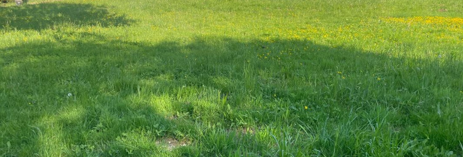 Terrain  679 m² à vendre à Saint-Félix (74540)