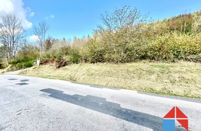 vente terrain 159 000 € à proximité de Cornimont (88310)