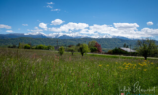 Photo N° 3