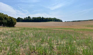 Terrain  7860 m² à vendre à Parly (89240)