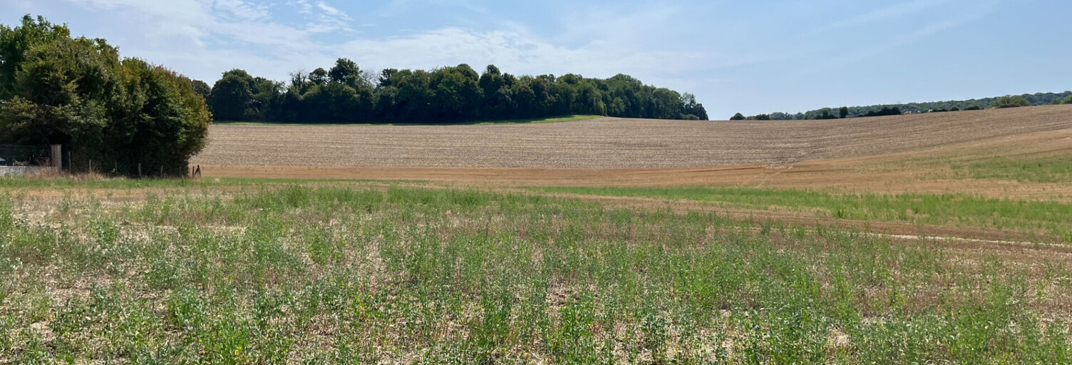 Terrain  7860 m² à vendre à Parly (89240)