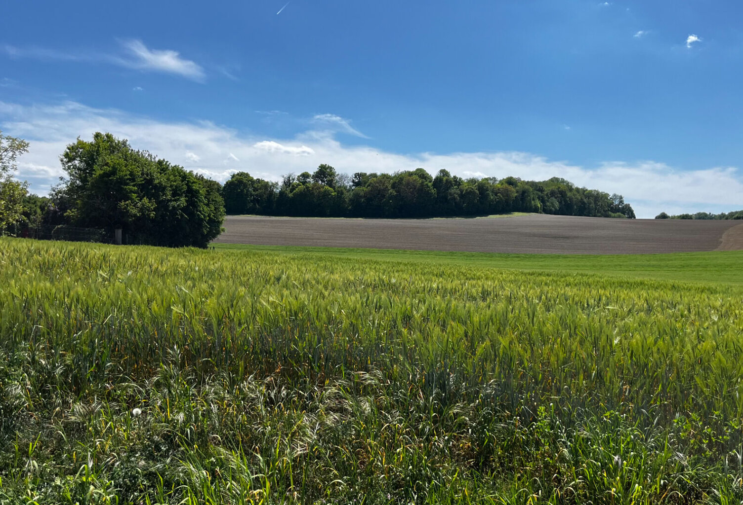 GRAND TERRAIN — photo 1
