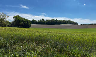 Terrain  7860 m² à vendre à Parly (89240)