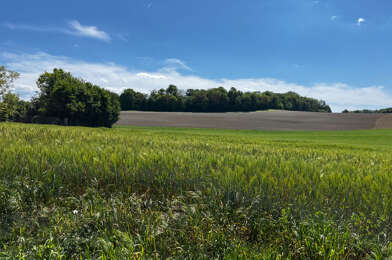 Terrain  30000 €
