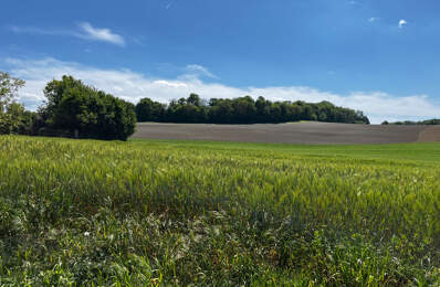 GRAND TERRAIN — photo du bien