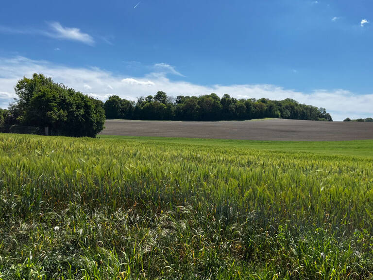 GRAND TERRAIN — photo 1