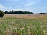 GRAND TERRAIN — photo 2