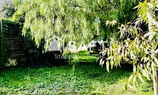 Photo N° 13