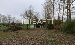 Photo N° 3