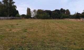 Photo N° 3