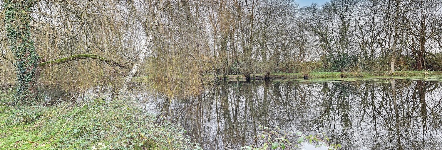 Terrain  13000 m² à vendre à Belgeard (53440)