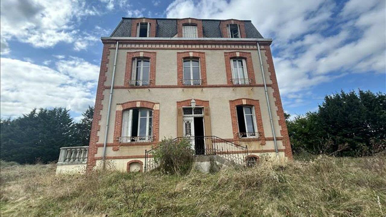 maison 12 pièces 320 m2 à vendre à Chaillac (36310)