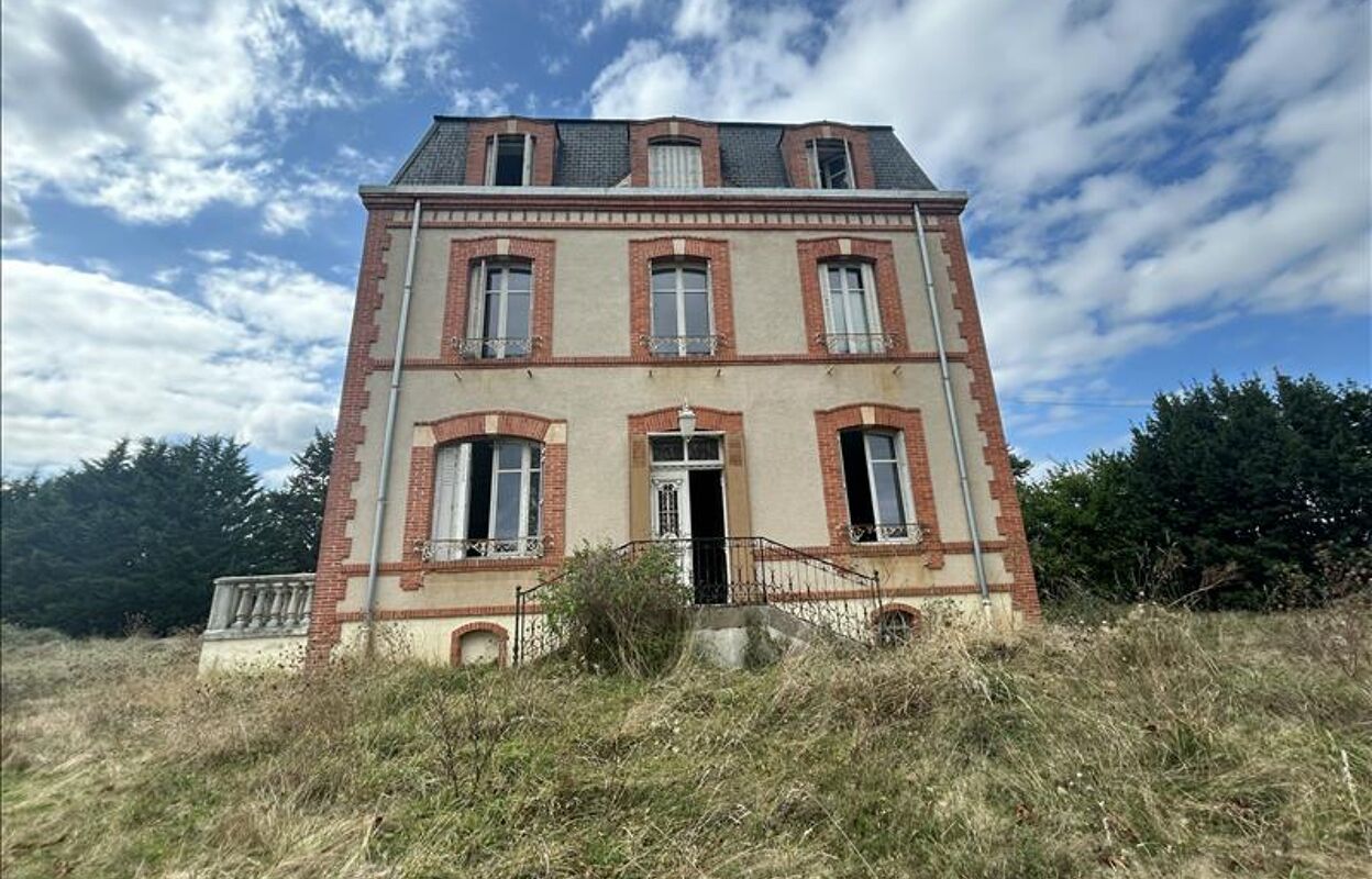 maison 12 pièces 320 m2 à vendre à Chaillac (36310)