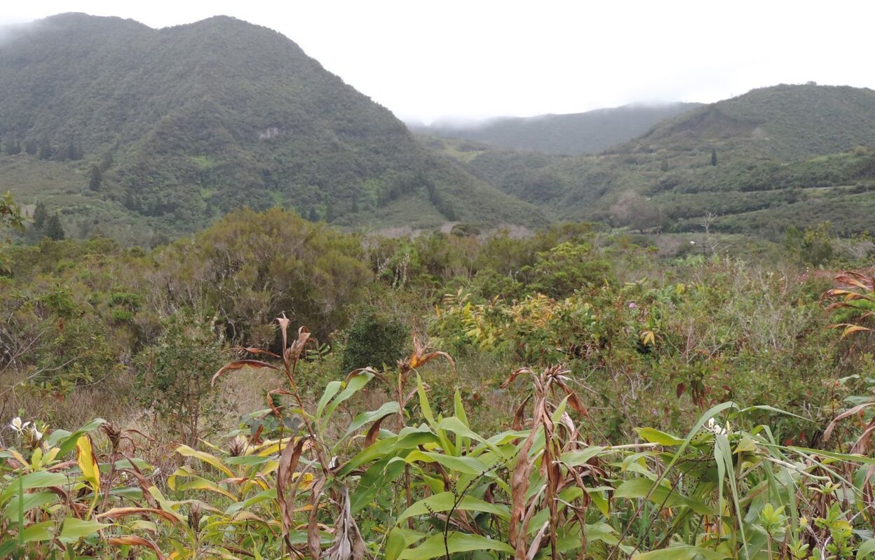 terrain  pièces 4537 m2 à vendre à La Plaine-des-Palmistes (97431)