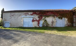 Photo N° 6