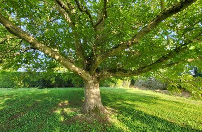 vente maison 299 000 € à proximité de Barbery (60810)