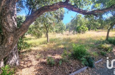 vente terrain 640 000 € à proximité de Roquebrune-sur-Argens (83520)