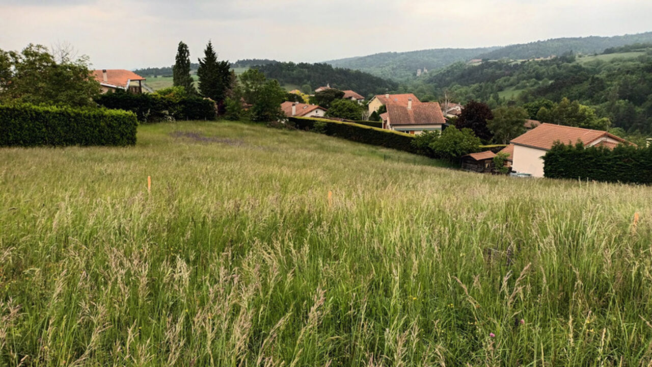 terrain  pièces 1100 m2 à vendre à Bard (42600)