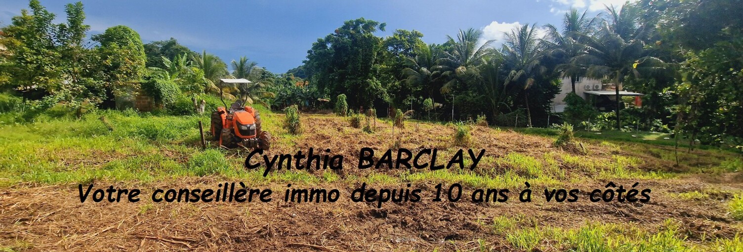 Terrain  2799 m² à vendre à Ducos (97224)