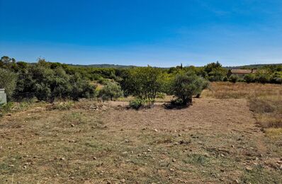 terrain  pièces 804 m2 à vendre à Lorgues (83510)