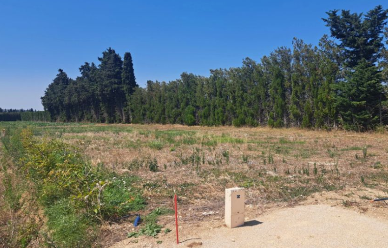 terrain  pièces 800 m2 à vendre à L'Isle-sur-la-Sorgue (84800)