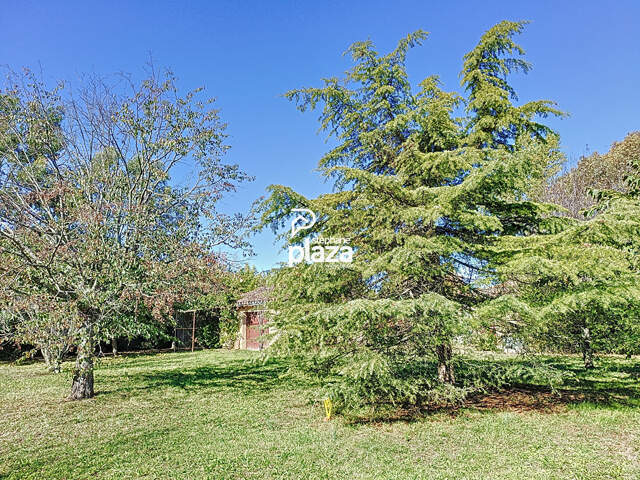 Plaza Immobilier - Plaisance du Touch - Hyper Centre - Terrain de 650 m² — photo du bien
