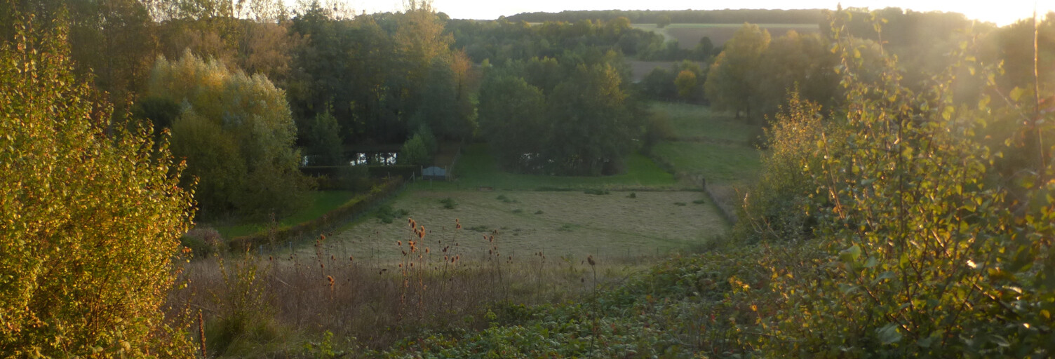 Terrain  3000 m² à vendre à Aux Marais (60000)