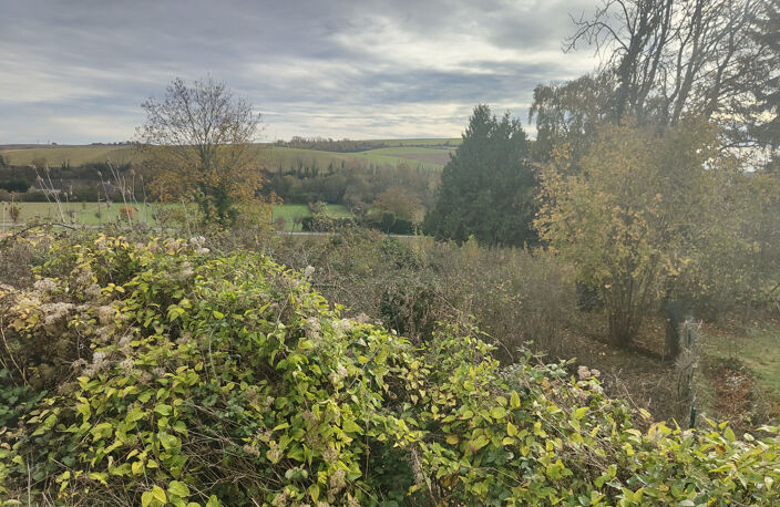 MAGNIFIQUE TERRAIN A BÂTIR CLOS DE 3300 M2 AVEC VIABILITE EN — photo 3