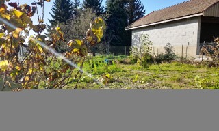 Photo N° 3