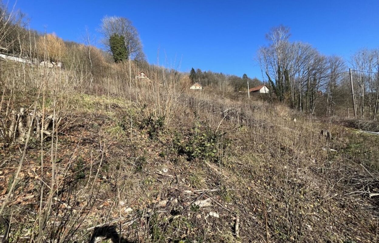 terrain  pièces 1560 m2 à vendre à Saulxures-sur-Moselotte (88290)