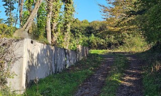 Photo N° 3