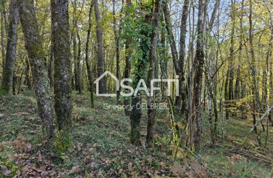 vente terrain 100 000 € à proximité de Cubjac-Auvézère-Val d'Ans (24640)