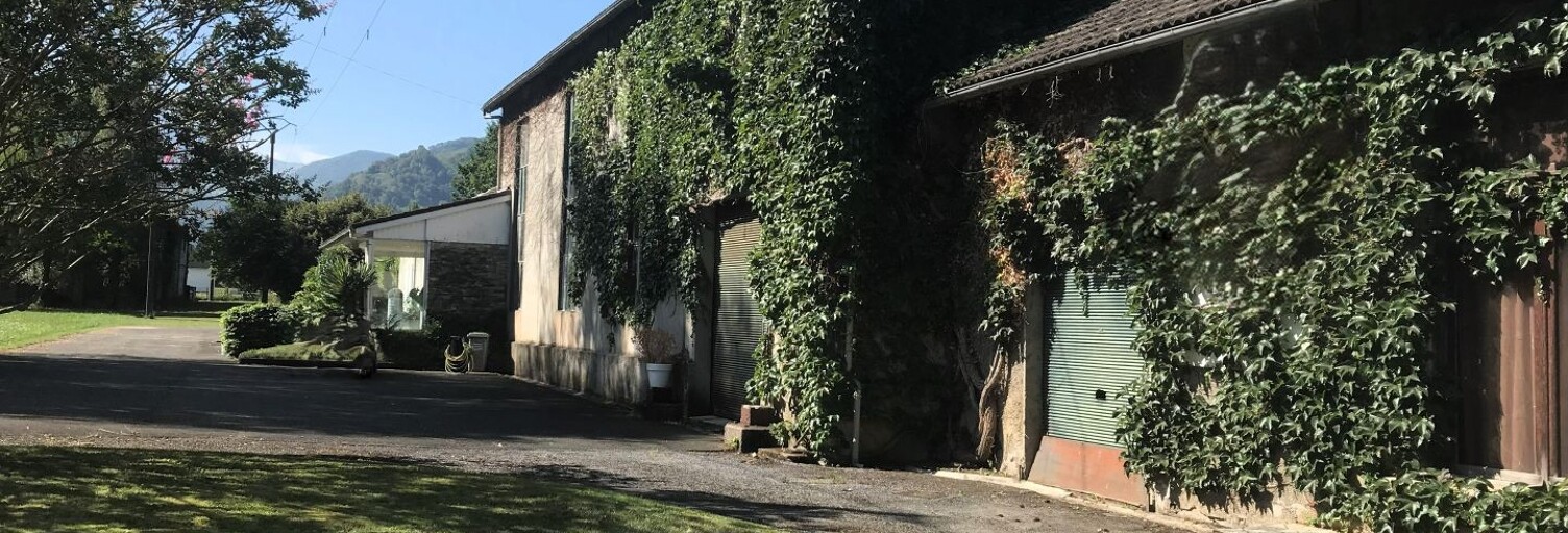 Commerce  590 m² à vendre à Bedous (64490)