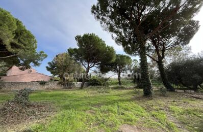 vente terrain 129 000 € à proximité de Saint-Thibéry (34630)