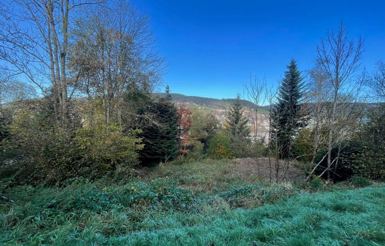 terrain  pièces 2000 m2 à vendre à Gérardmer (88400)