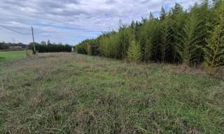 Terrain  1248 m² à vendre à Garidech (31380)