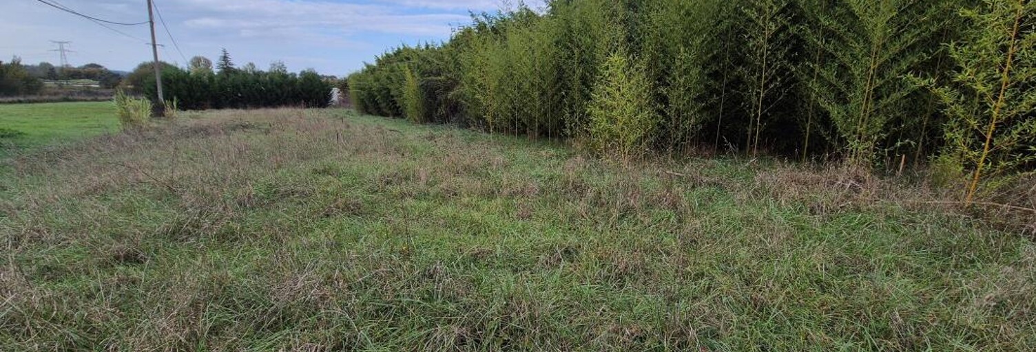 Terrain  1248 m² à vendre à Garidech (31380)