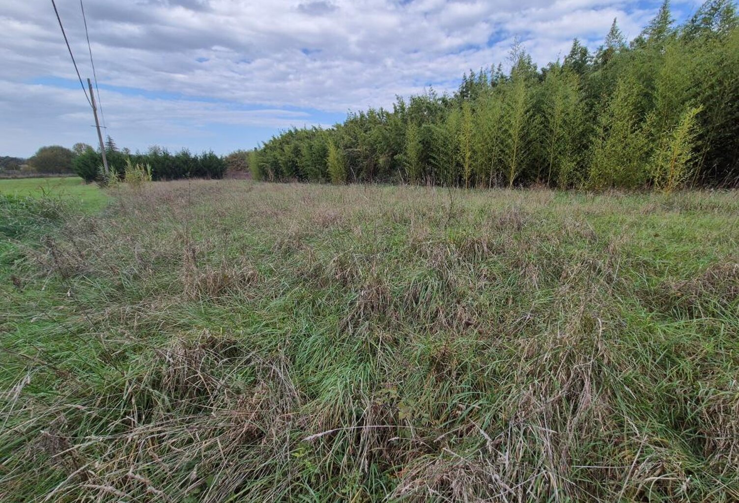 Garidech Grand Terrain viabilisé de 1597 m² — photo 1