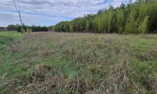 Terrain  1607 m² à vendre à Garidech (31380)