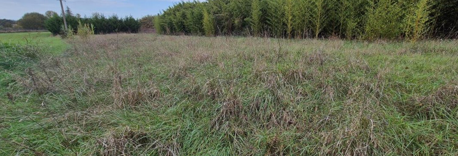 Terrain  1607 m² à vendre à Garidech (31380)