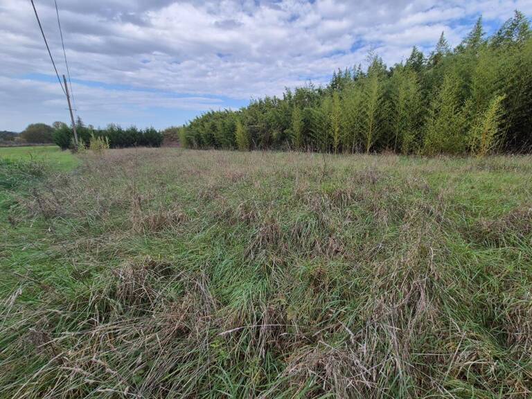 Garidech Grand Terrain viabilisé de 1597 m² — photo 1