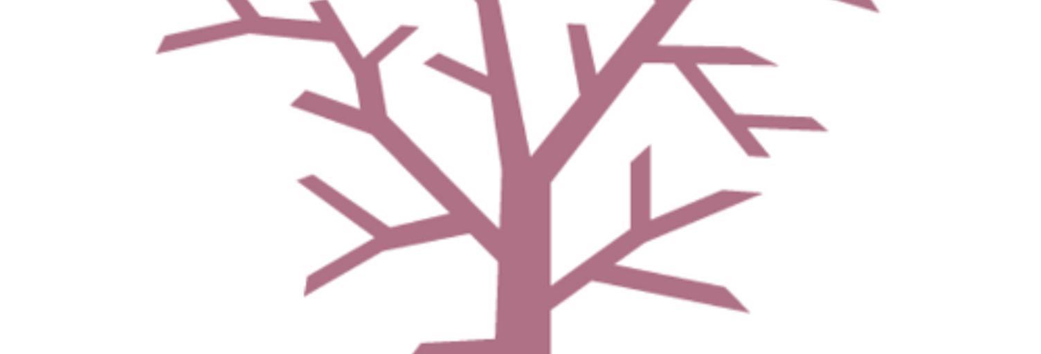 Commerce  120 m² à vendre à Roanne (42300)