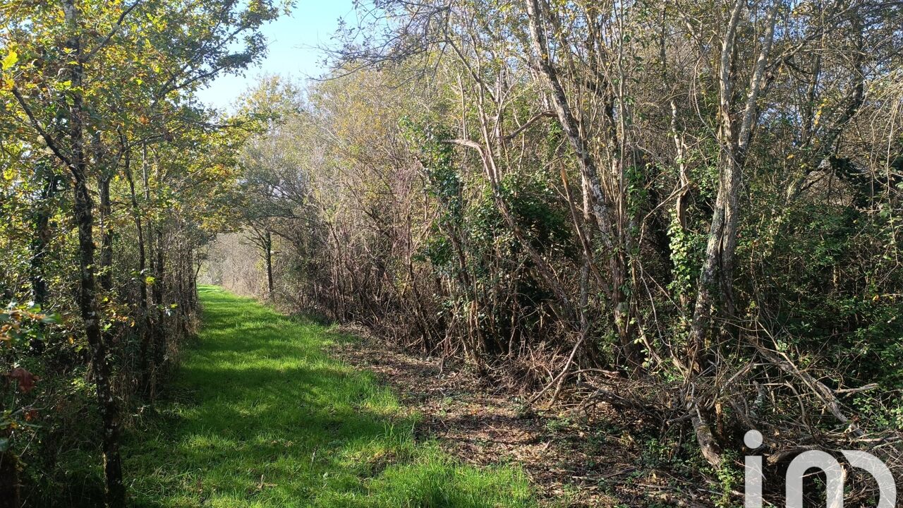 terrain  pièces 11202 m2 à vendre à Pruniers-en-Sologne (41200)