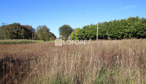 Terrain  à vendre Orthez 64300