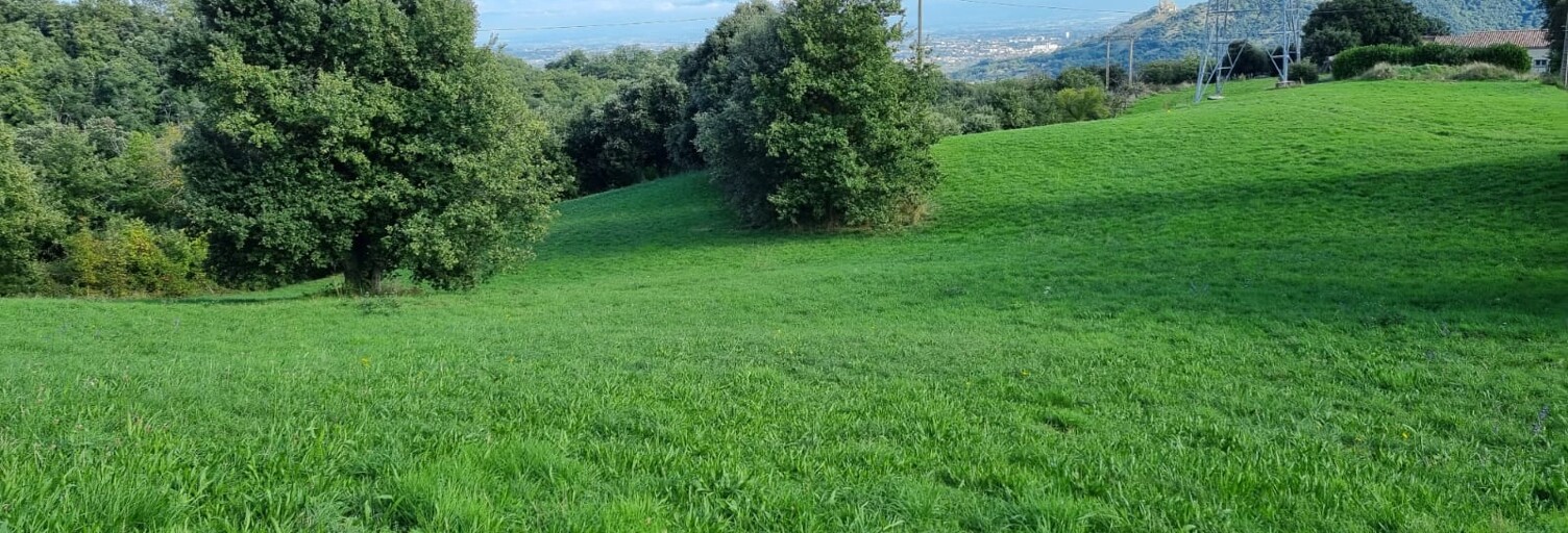 Terrain 2953 m² à construire Saint-Péray (07130)