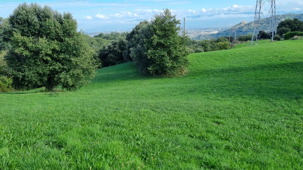 terrain 2953 m2 à construire à Saint-Péray (07130)