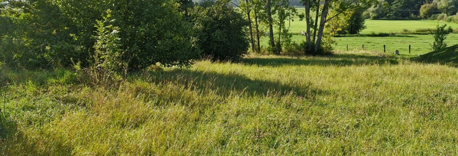 Terrain  1321 m² à vendre à Villoncourt (88150)