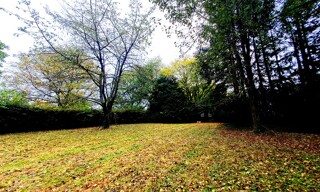 Photo N° 5