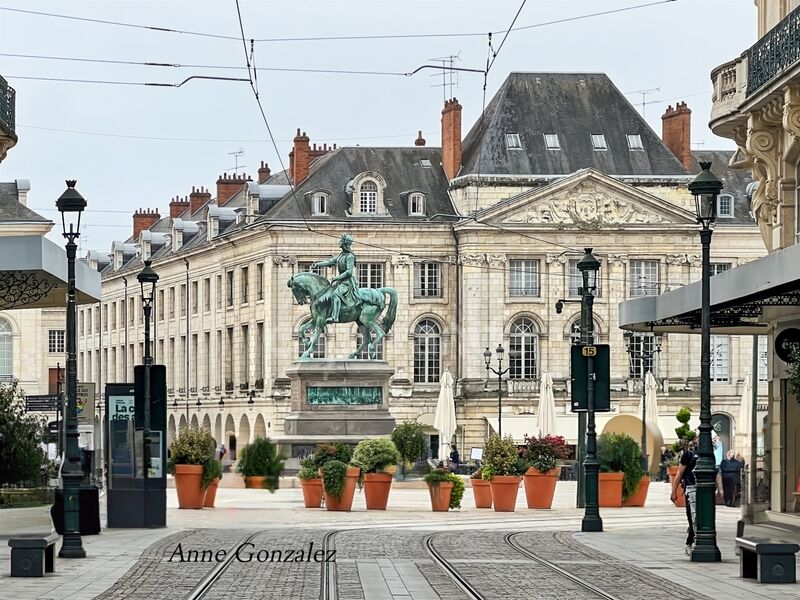 Appartement 5 pièces  à vendre Orléans 45000